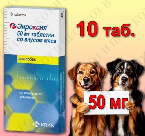 Энроксил для собак, 10 табл. х 50 мг со вкусом мяса, KRKA 