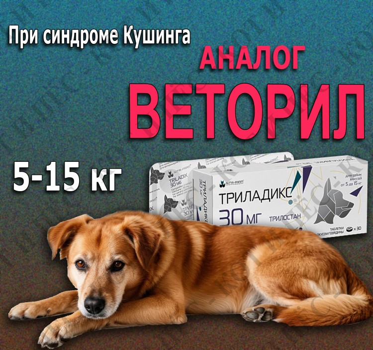 Триладикс для собак 5-15 кг при синдроме Кушинга, 30 мг х 30 таб. Nita-Farm (замена Веторил)