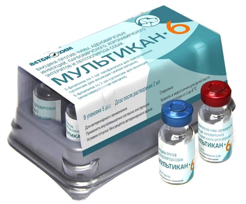 Вакцина Мультикан-6 для собак двухкомпонентная (1 доза - 2 фл.), Ветбиохим