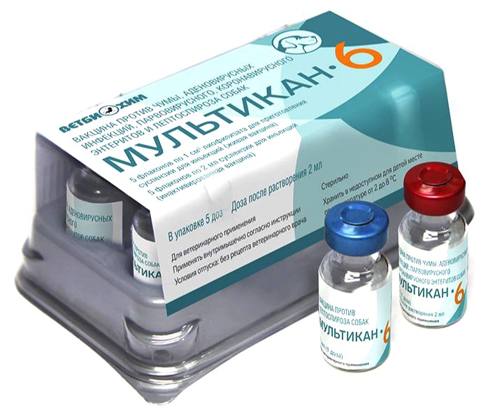 Вакцина Мультикан-6 для собак двухкомпонентная (1 доза - 2 фл.), Ветбиохим