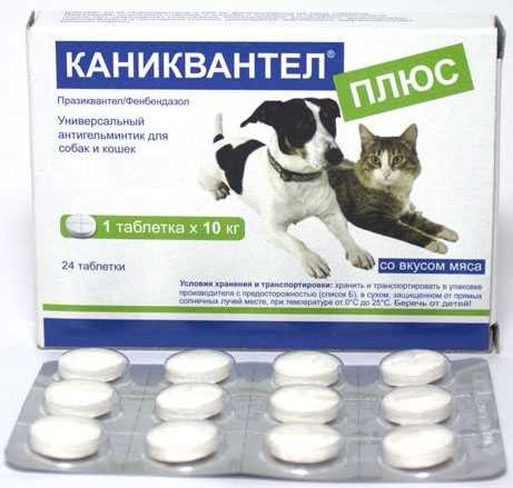 Каниквантел плюс 12 табл\НЕТ ПОСТАВОК \- ЗАМЕНА: ДЕХИНЕЛ, ДРОНТАЛ, ФЕНИКВАНТЕЛ