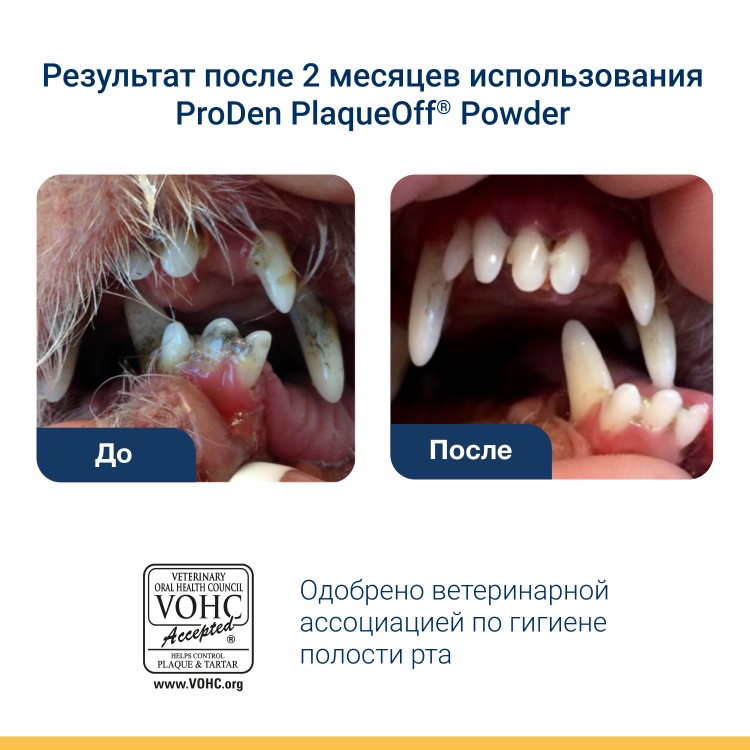 ProDen PlaqueOff (Плакофф) Средство для профилактики зубного камня у собак и кошек, 180 г 