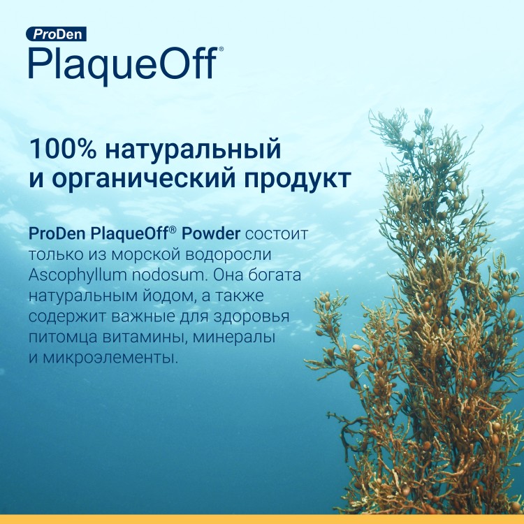 ProDen PlaqueOff (Плакофф) Средство для профилактики зубного камня у собак и кошек, 40 г
