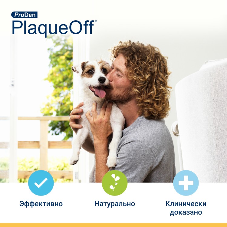 ProDen PlaqueOff (Плакофф) Средство для профилактики зубного камня у собак и кошек, 40 г