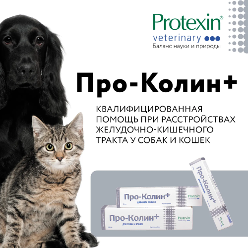 ПроКолин+ кормовая добавка для для кошек и собак, 60 мл (ЗАМЕНА КРИТИСТОП)
