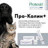 ПроКолин+ кормовая добавка для для кошек и собак, 60 мл (ЗАМЕНА КРИТИСТОП)