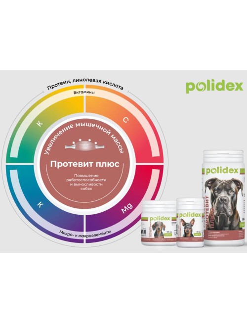 Polidex Protevit plus (Полидекс Протевит плюс) Витамины для собак 300 табл