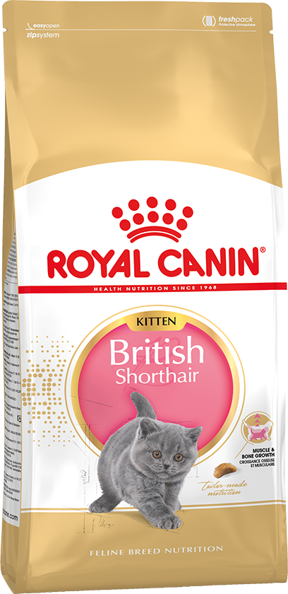 Royal Canin (Роял Канин) British Shorthair Kitten Сухой корм для котят породы Британская короткошерстная с 4 до 12 месяцев 2 кг