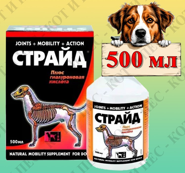 Stride Plus (Страйд Плюс) хондропротектор для собак, 500 мл