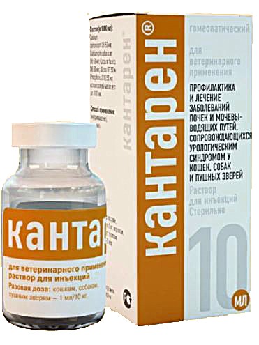 Кантарен р-р для инъекций 10 мл