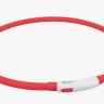 Ошейник светящийся для собак USB (6-ти расцветок) 35 см 