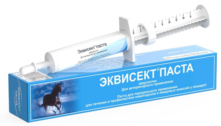 Эквисект паста для лошадей со шприцем-дозатором, 14 г