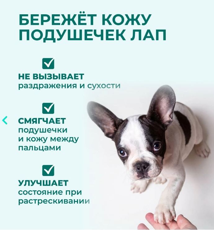Жидкое мыло для собак и кошек «Башмачок», 220 мл VEDA
