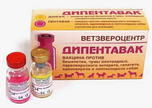 Вакцина Дипентавак для собак двухкомпонентная, (1 доза - 2 фл.), Ветзвероцентр ЗАМЕНА МУЛЬТИКАНА-8