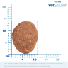 Monge VetSolution Dog Gastrointestinal Сухой лечебный корм для собак при заболеваниях ЖКТ, 2 кг