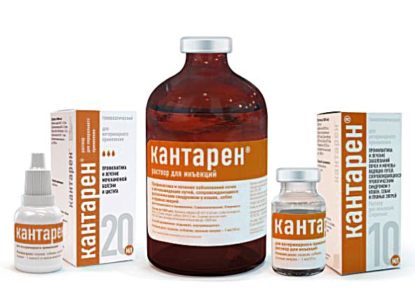 Кантарен р-р для инъекций 100 мл