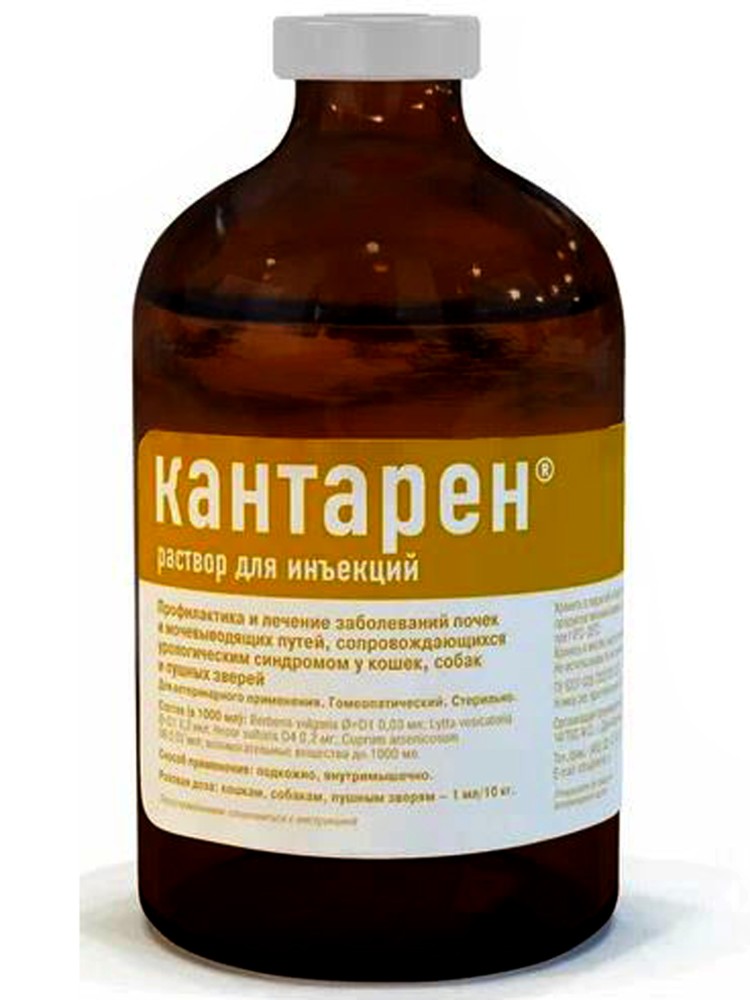 Кантарен р-р для инъекций 100 мл