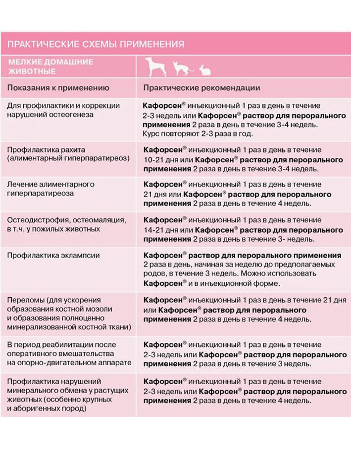 Кафорсен для животных, р-р для инъекций, 100 мл Хелвет