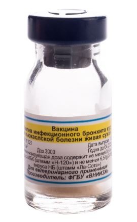 «ВНИИЗЖ-ИБК+НБ» вакцина против инфекционного бронхита кур и ньюкаслской болезни живая сухая, (4 мл - 3 000 доз)