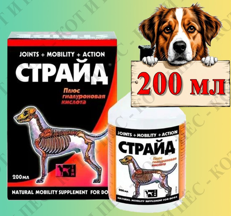 Stride Plus (Страйд Плюс) хондропротектор для собак, 200 мл
