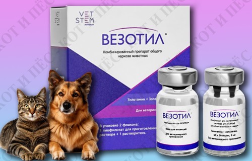 Везотил 100 для анестезии порошок для инъекций + растворитель (замена Золетила)