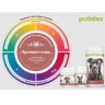 Polidex Protevit plus (Полидекс Протевит плюс) Витамины для собак 150 табл
