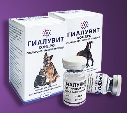 Гиалувит Хондро раствор для инъекций 
