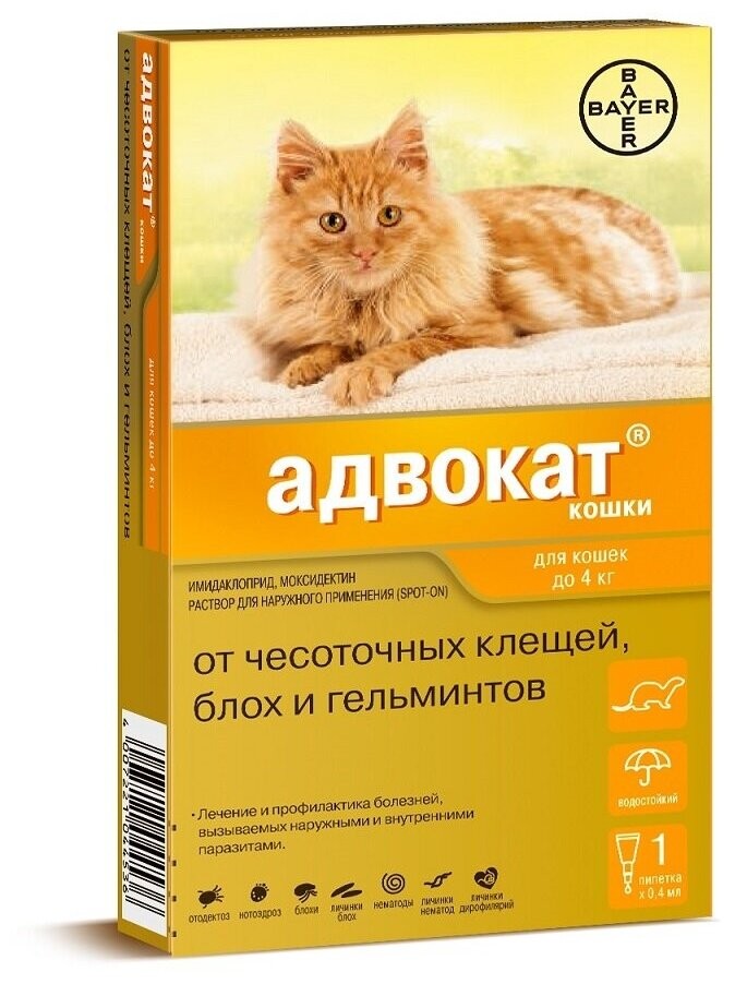 Advocate (Адвокат) - Капли для кошек (1 пипетка)до 4 кг\ЗАМЕНА ПРИНОКАТ