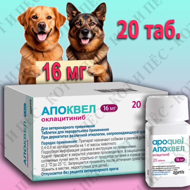 Apoquel (Апоквел) для собак против зуда 20 табл х 16 мг