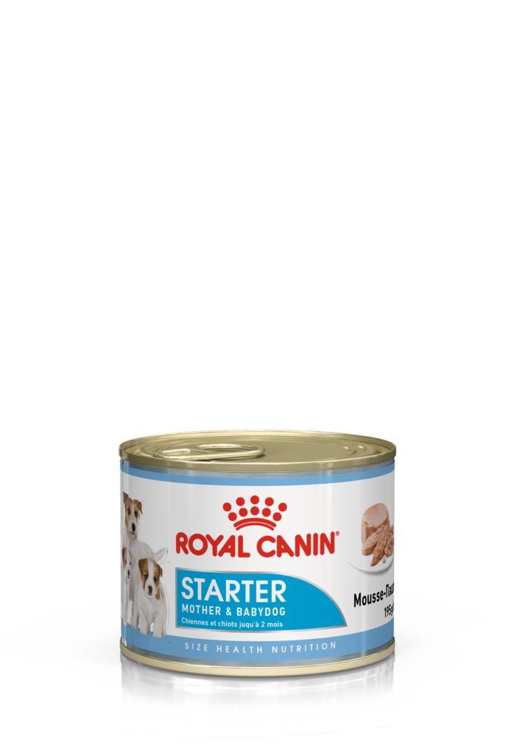 Royal Canin (Роял Канин) Starter Mousse Консервы для собак в период беременности и лактации и щенков до 2 месяцев в муссе 195 г