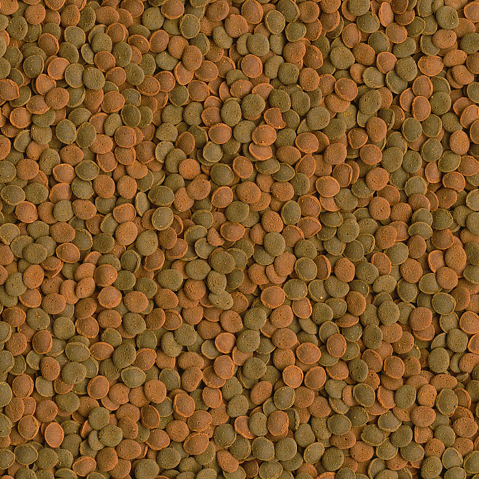 Tetra (Тетра) Wafer Mix Корм для всех видов донных рыб и ракообразных (вэйферсы), 3,6 л/1850 г