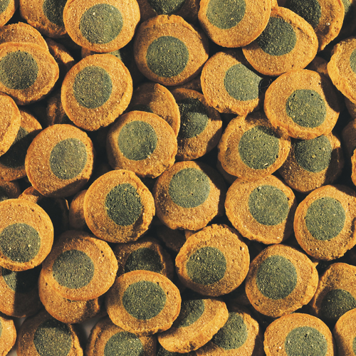 Tetra (Тетра) Pleco Spirulina Wafers Корм для всех видов травоядных донных рыб, вэйферсы, 3,6 л/1750 г