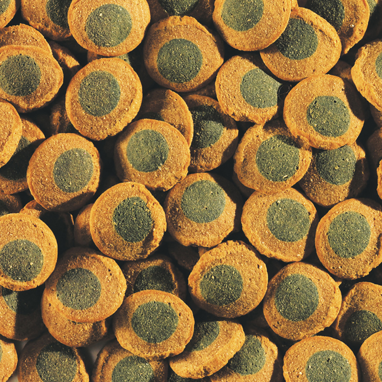 Tetra (Тетра) Pleco Spirulina Wafers Корм для всех видов травоядных донных рыб, вэйферсы, 3,6 л/1750 г