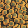 Tetra (Тетра) Pleco Spirulina Wafers Корм для всех видов травоядных донных рыб, вэйферсы, 3,6 л/1750 г