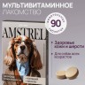 Лакомство мультивитаминное Amstrel для собак с кальцием и биотином, 90 табл.