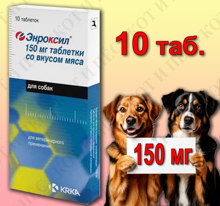 Энроксил для собак, 10 табл. х 150 мг со вкусом мяса, KRKA